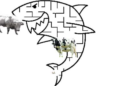 labirin kucing terbang dan babi