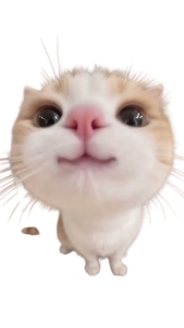 cat maze