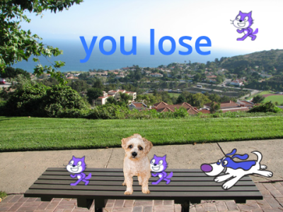 dog jump