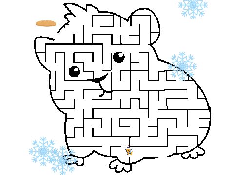 MAZE HAMSTER